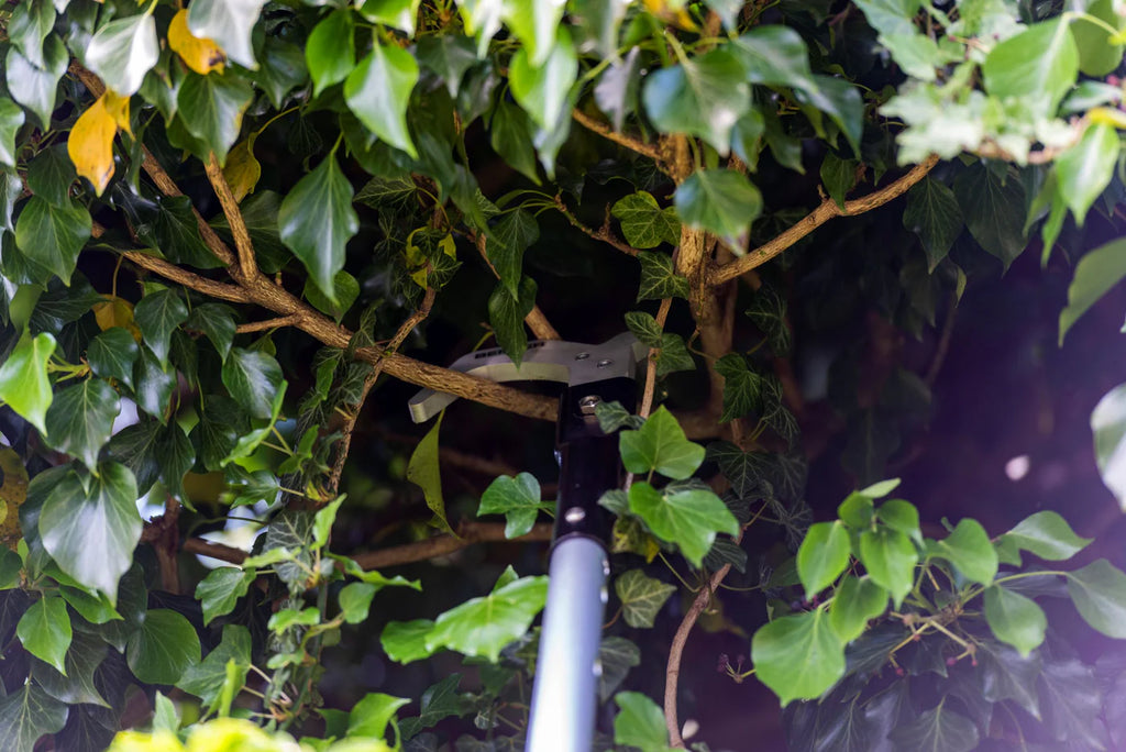 BERGER ARBORAPID UNIVERSAL HOOK