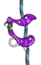 Rock Exotica Akimbo²