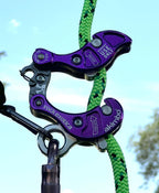 Rock Exotica Akimbo²