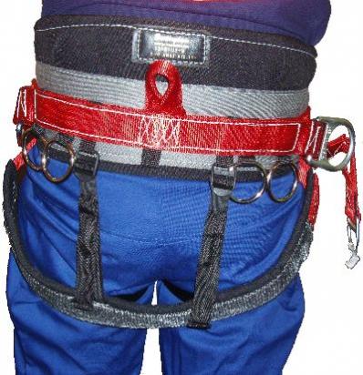 Buckingham Aussie Economy Harness