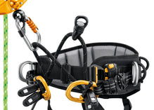 PETZL SEQUOIA GEN 3 ARBORIST HARNESS