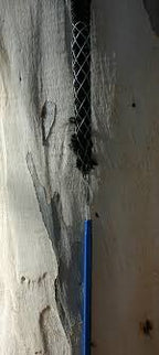 Yale Brace Splicing FID